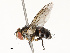  ( - CBG-A72933-E06)  @11 [ ] CreativeCommons - Attribution Share - Alike (2025) CBG Photography Group Centre for Biodiversity Genomics