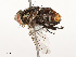  ( - CBG-B12443-B12)  @11 [ ] CreativeCommons - Attribution Share - Alike (2025) CBG Photography Group Centre for Biodiversity Genomics