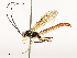  ( - CBG-B12443-D06)  @11 [ ] CreativeCommons - Attribution Share - Alike (2025) CBG Photography Group Centre for Biodiversity Genomics
