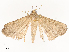  ( - CBG-A67031-E04)  @11 [ ] CreativeCommons - Attribution Share - Alike (2025) CBG Photography Group Centre for Biodiversity Genomics