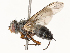  ( - CBG-A67031-F10)  @11 [ ] CreativeCommons - Attribution Share - Alike (2025) CBG Photography Group Centre for Biodiversity Genomics