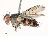  ( - CBG-A67031-F12)  @11 [ ] CreativeCommons - Attribution Share - Alike (2025) CBG Photography Group Centre for Biodiversity Genomics