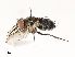  ( - CBG-A67032-B09)  @11 [ ] CreativeCommons - Attribution Share - Alike (2025) CBG Photography Group Centre for Biodiversity Genomics