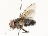  ( - CBG-A67032-C05)  @11 [ ] CreativeCommons - Attribution Share - Alike (2025) CBG Photography Group Centre for Biodiversity Genomics