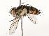  ( - CBG-A67867-B11)  @11 [ ] CreativeCommons - Attribution Share - Alike (2025) CBG Photography Group Centre for Biodiversity Genomics