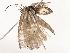  ( - CBG-A67884-E01)  @11 [ ] CreativeCommons - Attribution Share - Alike (2025) CBG Photography Group Centre for Biodiversity Genomics