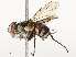  ( - CBG-A67911-A11)  @11 [ ] CreativeCommons - Attribution Share - Alike (2025) CBG Photography Group Centre for Biodiversity Genomics