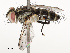  ( - CBG-A67911-B05)  @11 [ ] CreativeCommons - Attribution Share - Alike (2025) CBG Photography Group Centre for Biodiversity Genomics