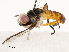  ( - CBG-A67912-G03)  @11 [ ] CreativeCommons - Attribution Share - Alike (2025) CBG Photography Group Centre for Biodiversity Genomics