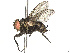  ( - CBG-A67912-G04)  @11 [ ] CreativeCommons - Attribution Share - Alike (2025) CBG Photography Group Centre for Biodiversity Genomics