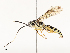  ( - CBG-A67913-B07)  @11 [ ] CreativeCommons - Attribution Share - Alike (2025) CBG Photography Group Centre for Biodiversity Genomics