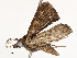  ( - CBG-A67943-A12)  @11 [ ] CreativeCommons - Attribution Share - Alike (2025) CBG Photography Group Centre for Biodiversity Genomics