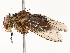  ( - CBG-A67943-D08)  @11 [ ] CreativeCommons - Attribution Share - Alike (2025) CBG Photography Group Centre for Biodiversity Genomics