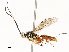  ( - CBG-A67943-G03)  @11 [ ] CreativeCommons - Attribution Share - Alike (2025) CBG Photography Group Centre for Biodiversity Genomics