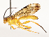  ( - CBG-A65328-C08)  @11 [ ] CreativeCommons - Attribution Share - Alike (2025) CBG Photography Group Centre for Biodiversity Genomics