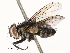  ( - CBG-A67015-D08)  @11 [ ] CreativeCommons - Attribution Share - Alike (2025) CBG Photography Group Centre for Biodiversity Genomics