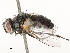  ( - CBG-A67015-D11)  @11 [ ] CreativeCommons - Attribution Share - Alike (2025) CBG Photography Group Centre for Biodiversity Genomics