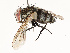  ( - CBG-A67808-C08)  @11 [ ] CreativeCommons - Attribution Share - Alike (2025) CBG Photography Group Centre for Biodiversity Genomics
