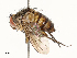  ( - CBG-A67823-E07)  @11 [ ] CreativeCommons - Attribution Share - Alike (2025) CBG Photography Group Centre for Biodiversity Genomics