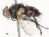  ( - CBG-A67838-C11)  @11 [ ] CreativeCommons - Attribution Share - Alike (2025) CBG Photography Group Centre for Biodiversity Genomics