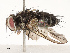  ( - CBG-A67862-F12)  @11 [ ] CreativeCommons - Attribution Share - Alike (2025) CBG Photography Group Centre for Biodiversity Genomics