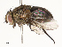  ( - CBG-A67863-B03)  @11 [ ] CreativeCommons - Attribution Share - Alike (2025) CBG Photography Group Centre for Biodiversity Genomics