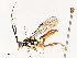  ( - CBG-A67868-A06)  @11 [ ] CreativeCommons - Attribution Share - Alike (2025) CBG Photography Group Centre for Biodiversity Genomics