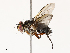  ( - CBG-A67870-A05)  @11 [ ] CreativeCommons - Attribution Share - Alike (2025) CBG Photography Group Centre for Biodiversity Genomics