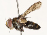  ( - CBG-A67874-A08)  @11 [ ] CreativeCommons - Attribution Share - Alike (2025) CBG Photography Group Centre for Biodiversity Genomics