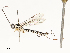  ( - CBG-A69565-E06)  @11 [ ] CreativeCommons - Attribution Share - Alike (2025) CBG Photography Group Centre for Biodiversity Genomics