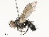  ( - CBG-A69566-B03)  @11 [ ] CreativeCommons - Attribution Share - Alike (2025) CBG Photography Group Centre for Biodiversity Genomics