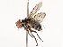  ( - CBG-A69575-G01)  @11 [ ] CreativeCommons - Attribution Share - Alike (2025) CBG Photography Group Centre for Biodiversity Genomics