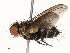  ( - CBG-A69575-G12)  @11 [ ] CreativeCommons - Attribution Share - Alike (2025) CBG Photography Group Centre for Biodiversity Genomics