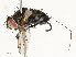  ( - CBG-A69578-A06)  @11 [ ] CreativeCommons - Attribution Share - Alike (2025) CBG Photography Group Centre for Biodiversity Genomics