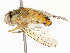  ( - CBG-A69578-C12)  @11 [ ] CreativeCommons - Attribution Share - Alike (2025) CBG Photography Group Centre for Biodiversity Genomics