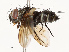  ( - CBG-A69614-A07)  @11 [ ] CreativeCommons - Attribution Share - Alike (2025) CBG Photography Group Centre for Biodiversity Genomics