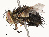  ( - CBG-A67839-F01)  @11 [ ] CreativeCommons - Attribution Share - Alike (2025) CBG Photography Group Centre for Biodiversity Genomics