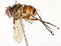  ( - CBG-A67839-G11)  @11 [ ] CreativeCommons - Attribution Share - Alike (2025) CBG Photography Group Centre for Biodiversity Genomics