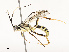  ( - CBG-A67840-C07)  @11 [ ] CreativeCommons - Attribution Share - Alike (2025) CBG Photography Group Centre for Biodiversity Genomics