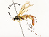  ( - CBG-A67840-G08)  @11 [ ] CreativeCommons - Attribution Share - Alike (2025) CBG Photography Group Centre for Biodiversity Genomics