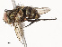  ( - CBG-A67872-D01)  @11 [ ] CreativeCommons - Attribution Share - Alike (2025) CBG Photography Group Centre for Biodiversity Genomics
