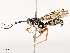  ( - CBG-A69622-B01)  @11 [ ] CreativeCommons - Attribution Share - Alike (2025) CBG Photography Group Centre for Biodiversity Genomics
