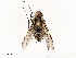  ( - CBG-B12445-E06)  @11 [ ] CreativeCommons - Attribution Share - Alike (2025) CBG Photography Group Centre for Biodiversity Genomics