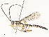  ( - CBG-B12450-H05)  @11 [ ] CreativeCommons - Attribution Share - Alike (2025) CBG Photography Group Centre for Biodiversity Genomics