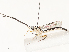  ( - CBG-B12450-H08)  @11 [ ] CreativeCommons - Attribution Share - Alike (2025) CBG Photography Group Centre for Biodiversity Genomics