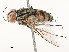  ( - CBG-A69582-G05)  @11 [ ] CreativeCommons - Attribution Share - Alike (2025) CBG Photography Group Centre for Biodiversity Genomics