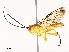  ( - CBG-A69590-D08)  @11 [ ] CreativeCommons - Attribution Share - Alike (2025) CBG Photography Group Centre for Biodiversity Genomics