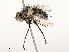  ( - CBG-A69631-F12)  @11 [ ] CreativeCommons - Attribution Share - Alike (2025) CBG Photography Group Centre for Biodiversity Genomics