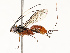  ( - CBG-A72921-B08)  @11 [ ] CreativeCommons - Attribution Share - Alike (2025) CBG Photography Group Centre for Biodiversity Genomics