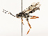  ( - CBG-A72933-G10)  @11 [ ] CreativeCommons - Attribution Share - Alike (2025) CBG Photography Group Centre for Biodiversity Genomics